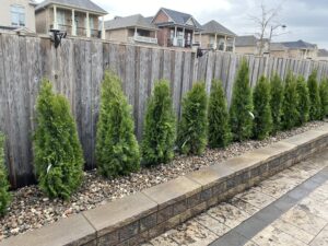 Landscaping Services